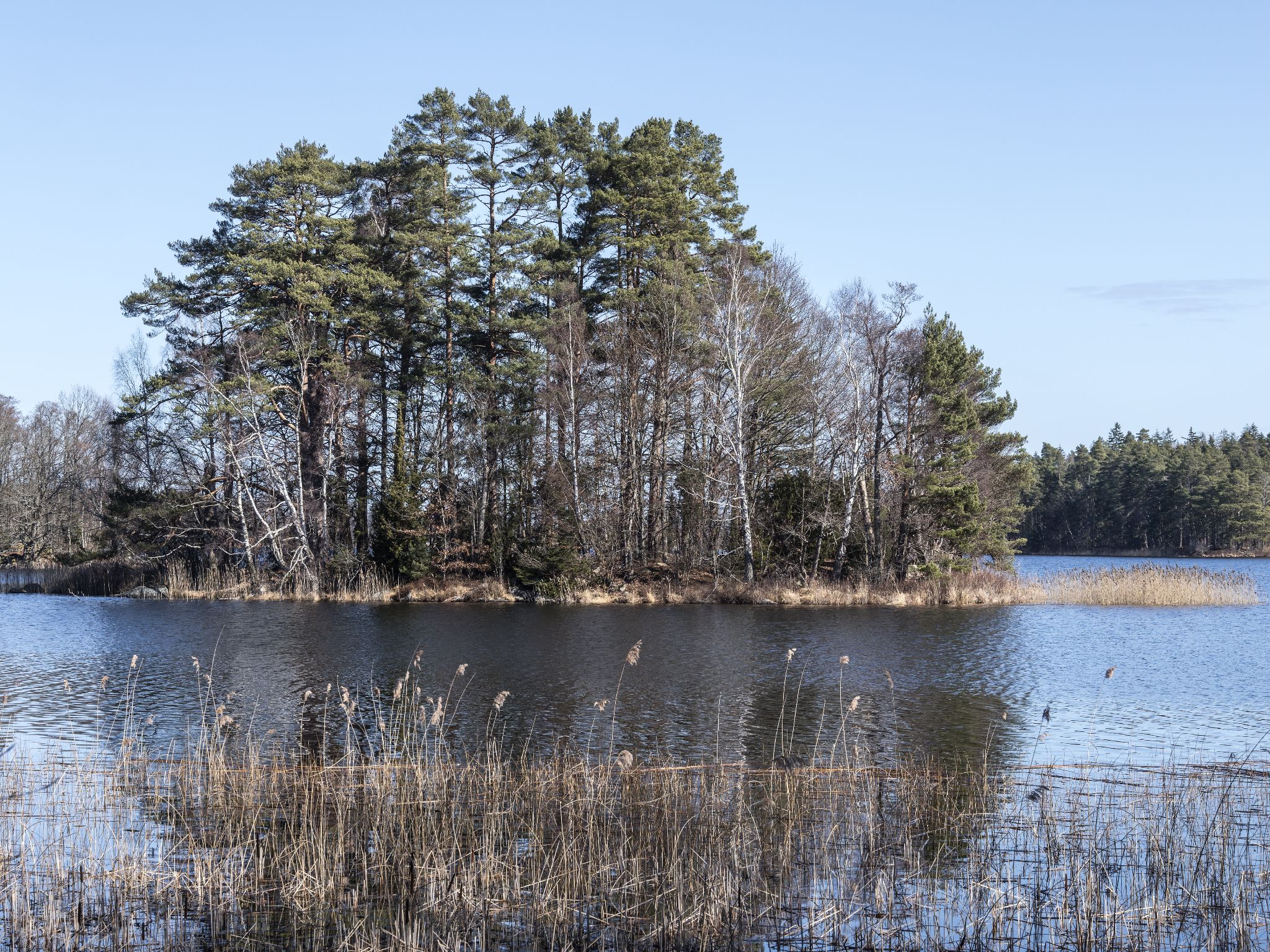 260327 1203 J  2JR1085 DxO DeepPRIME 3